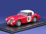 Austin-Healey 3000 #81 Monte Carlo Rallye 1963