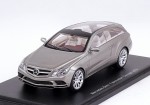 Mercedes-Benz Fascination Concept 2010